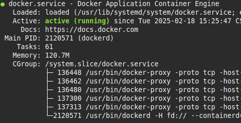 docker_running.term.png